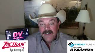 Feeder Flash 1/29:  Cattle Inventory