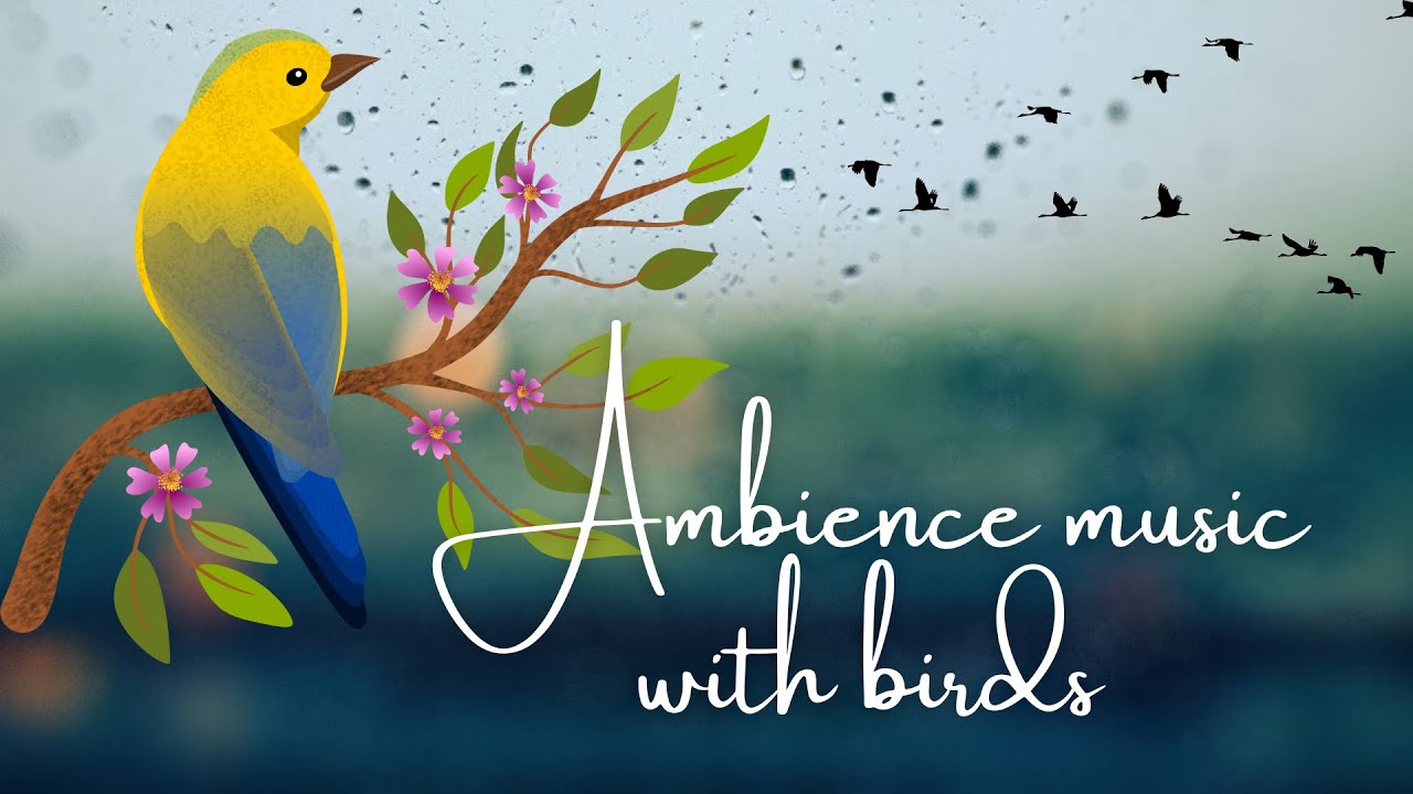 Escape To Serenity Immerse Yourself In The Soothing Sounds Of Our escape-to-serenity-immerse-yourself-in-the-soothing-sounds-of-our