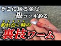 【ライトゲーム五目】ただ巻くだけでヤバすぎる動き！あらゆる魚が釣れまくる裏技的なワームの使い方【月下美人ソードビーム実釣インプレ】