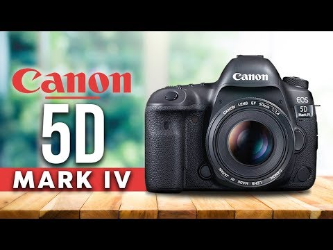 Melihat Fitur & Menu Kamera Mahal, Canon EOS 5d Mark IV harga baru 2017 body only 45 jutaan.. MENERI. 