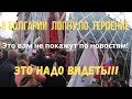 Ну всё у болгаров закончилось терпение/Это вам не покажут по новостям!Болгария 2023