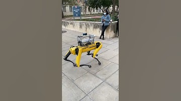 Ladies of Tech at UT Austin