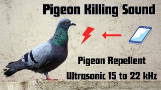 Anti Pigeon Repellents Sound | Keep Pigeons away | Ultrasonic sound 15 to 20Khz #pigeon #chasepigeon