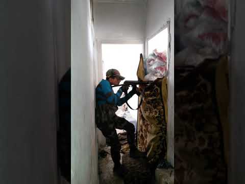 احمد مجدمي الشهيد باذن الله