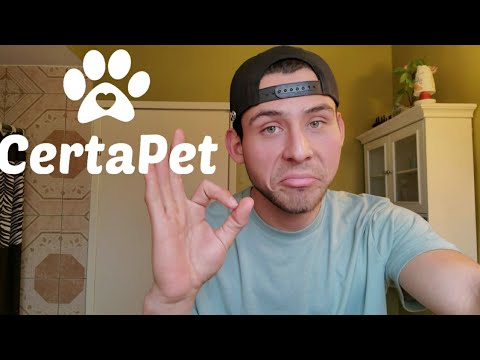 Video: Apa arti dari pettable?