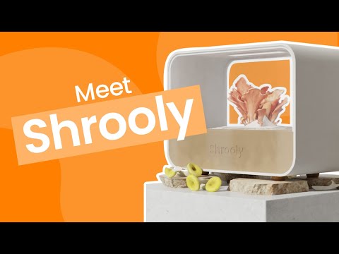 From Store-Bought to Home-Grown Mushrooms: Meet Shrooly