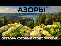 Азорские острова. Мы в шоке. Азоры - Рай на краю света !? Обзор острова Сан Мигель. Аренда Цены Еда