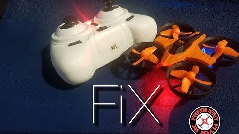 Furibee F36 - Morning Fix