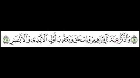 سورة ص الآية 45