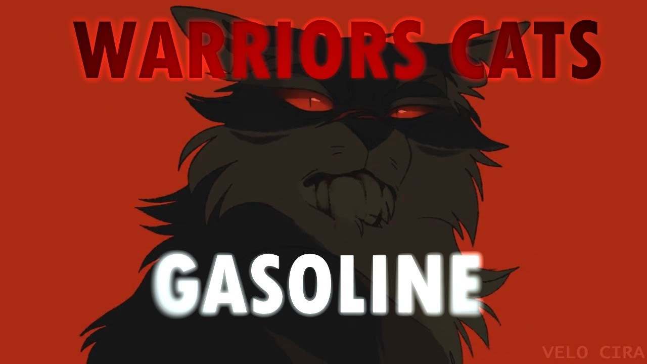[ Warriors Cats ] - Gasoline - [ Animator Tribute ]