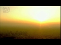 みれん恋 オリジナル曲演歌いそちゃん