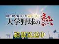 【明治神宮スペシャル・大学野球の熱】記録・記憶・歴史に残った大会の名場面を振り返る！2026年ドラフト候補も登場!!「プロ野球ドラフトちゃんねる」スカイA公式