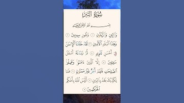 قران كريم /سورة التين بصوت القارئ حسام الدين عبادي #قران_كريم #quran #راحة_نفسية #أزهر
