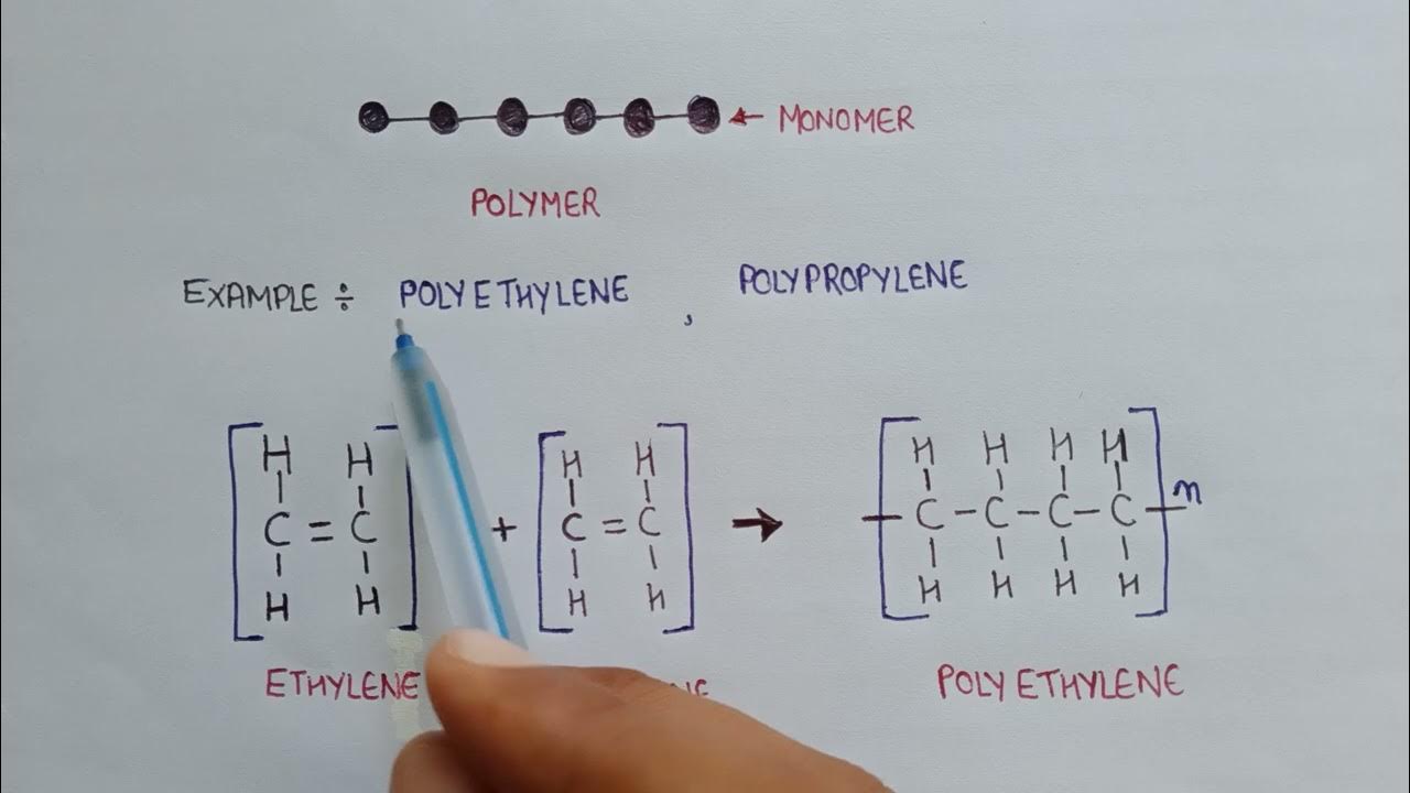introduction to polymers polymers in Hindi polymers definition