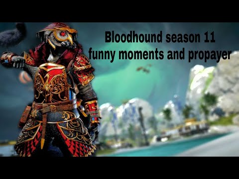 season 11 Apex Legends- Bloodhound