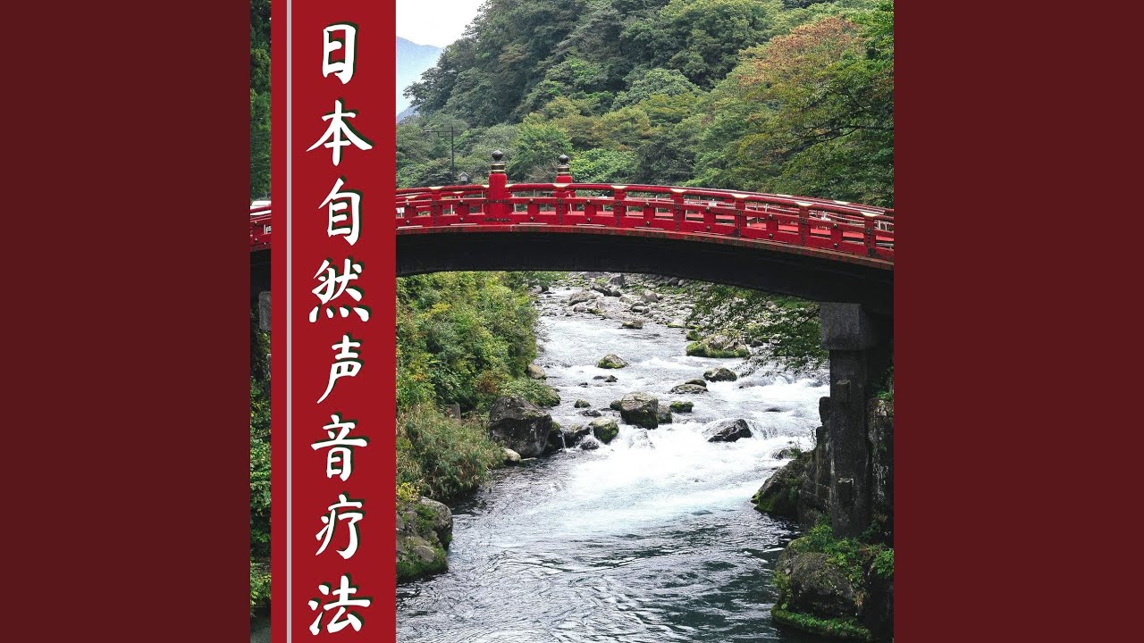 Ver 疲劳恢复 no YouTube