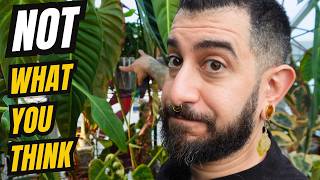 You Haven’t Seen My Plants Like THIS 😳🌿 The Jungle Behind the Camera