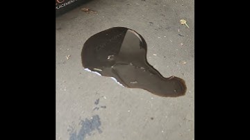 This Is Why You Must Change Differential Fluid!