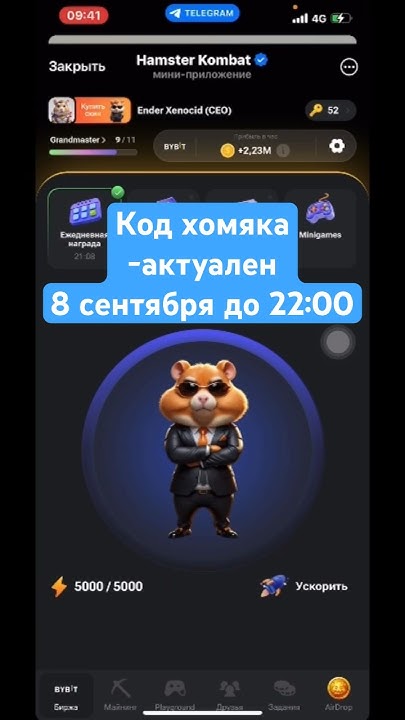 Какой шифр в хомяке 3 сентября. Какой шифр в хомяке 3 сентября