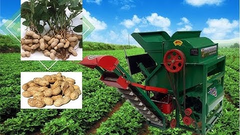 Peanut picker machine peanut harvest machine