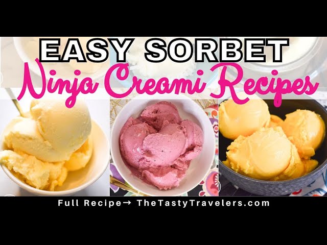 59+Delicious and EASY Ninja Creami Recipes - The Tasty Travelers