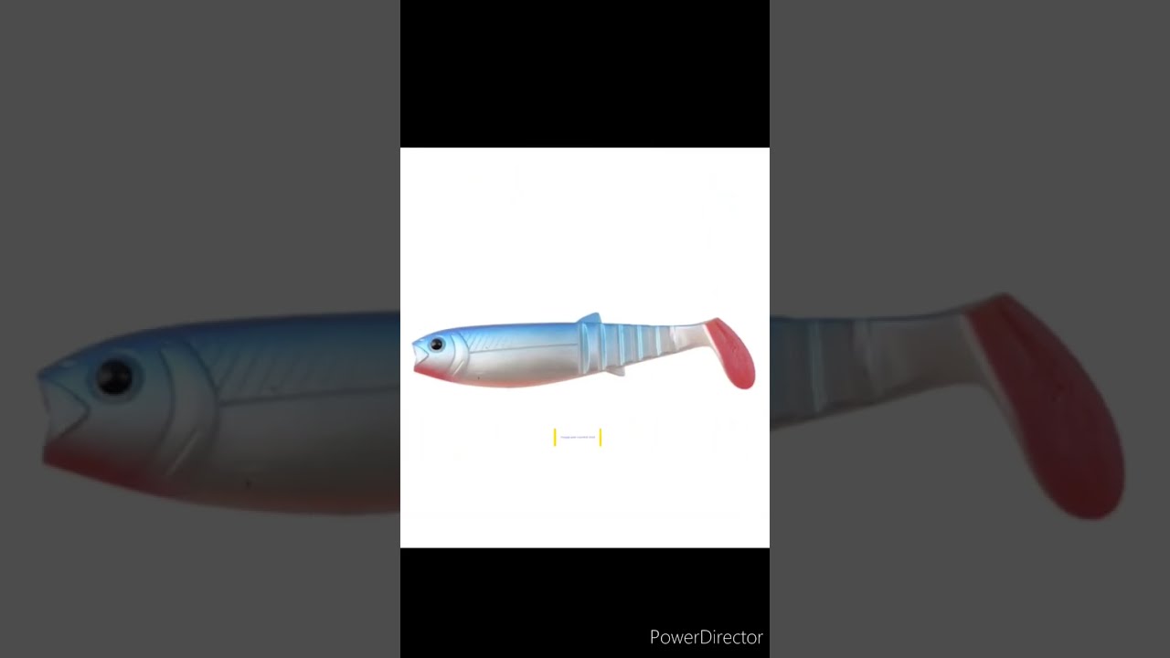 Savage Gear Cannibal Shad 12.5 cm -PikeFishing #2