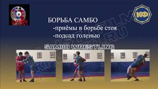Техника борьбы самбо. Подсад голенью. kfvideo.ru