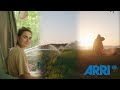 How to get the ARRI look from your Sony FX6 (A7s iii, FX3)