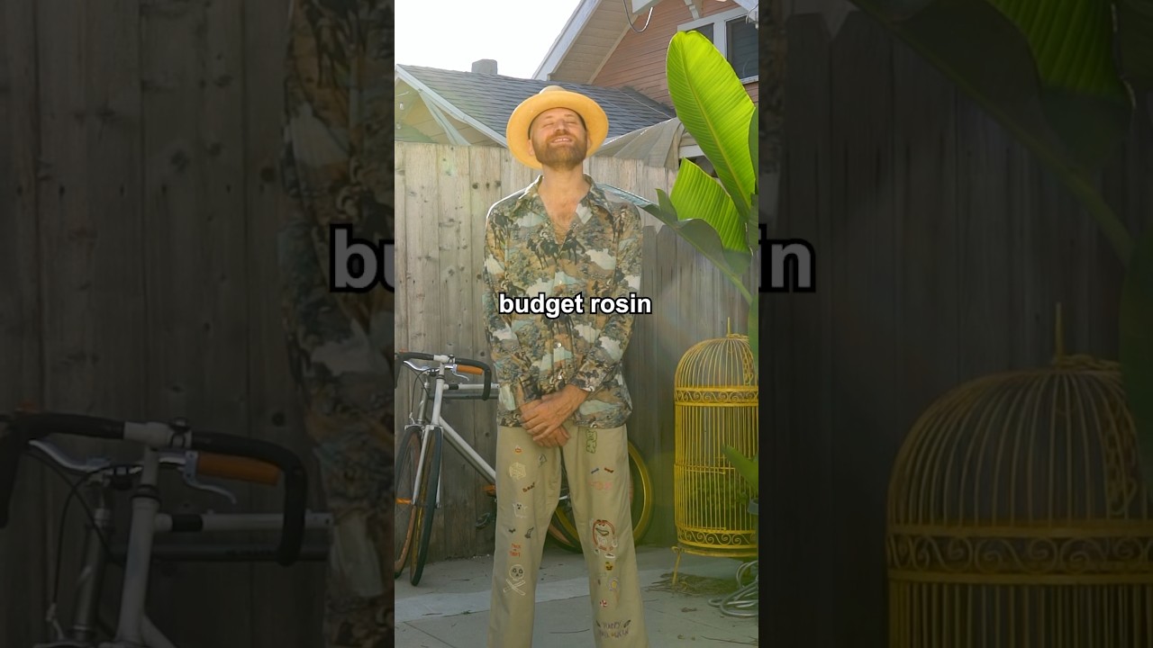 What do you think of my song? 🤔                     It’s called Budget Rosin