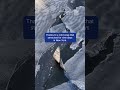 Rare Ice Sailing On New York Lagoon
