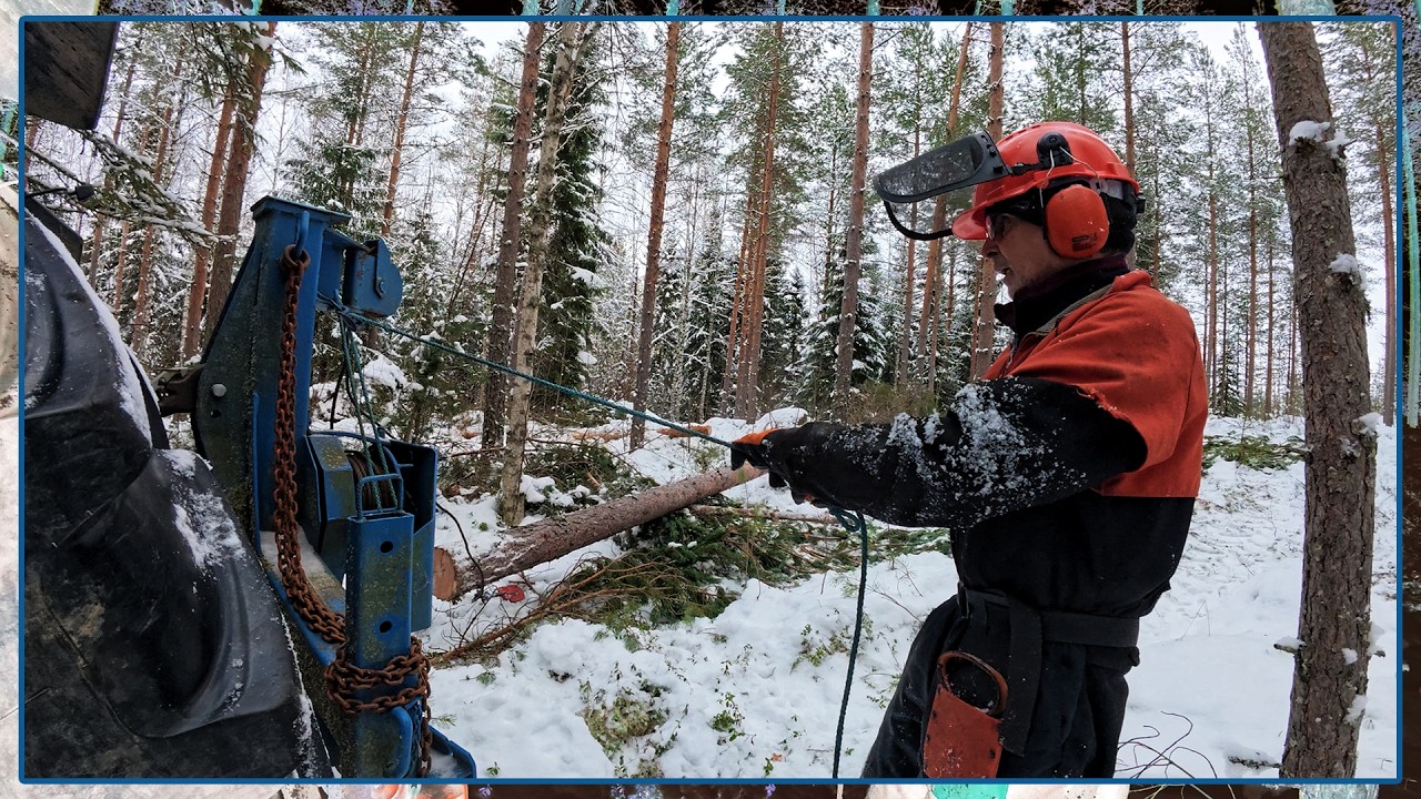 Mettähommia, Hanneksen jalanjäljissä.