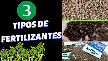 Quais são os tipos de fertilizantes?