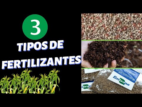 Vídeo: Quais são os três principais tipos de fertilizantes químicos?
