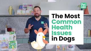 The Most Common Health Issues in Dogs & Cats | The Most Common Dog Illnesses by PetCubes Official 2,122 views 10 months ago 42 seconds