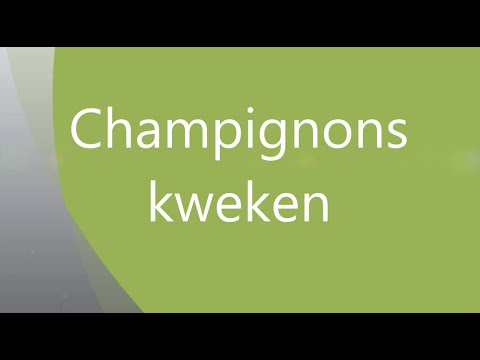 Video: Tips Van Experts Over Hoe U Naar Champignons Kunt Foerageren En Niet Kunt Sterven