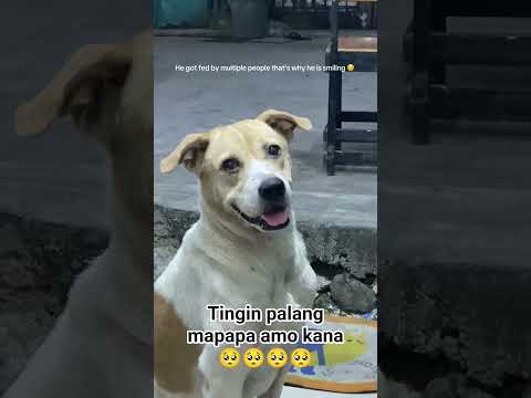 NAKAKA LONGKOT NAMAN Shortvideos Subcribemychannel Followers Viralsong Subscribers Viralreels