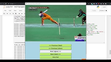 Third Umpire Decision Review System | Python Project  #miniprojectideas #betech #finalyearprojects