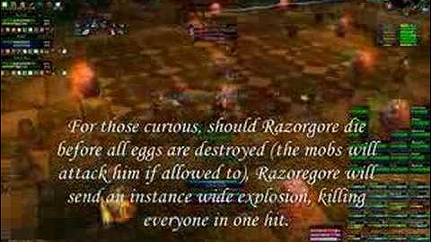 Razorgore Kill - WoW