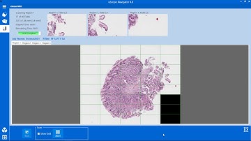 Scanning Multiple Regions of Interest