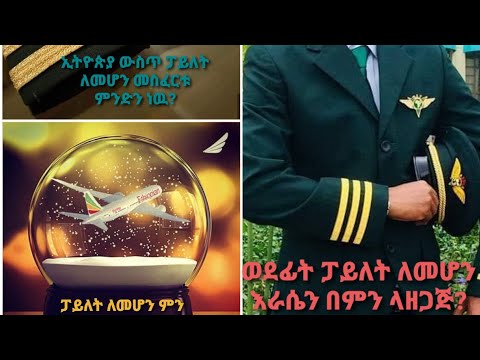 ቪዲዮ: ምንጣፍ ለቤት፡ ዋጋዎች፣ ፎቶዎች