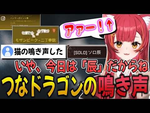金アキンボを発見し可愛らしい鳴き声が漏れてしまう"ねこ辰"【猫汰つな/ぶいすぽ/切り抜き】