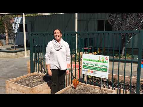 St. Anthony Parish School- Principal