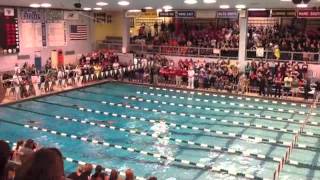 Ihsa 2013 - 200 Medley Relay Downers Grove North