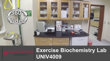 (360 Video) Exercise Biochemistry Lab UNIV4009