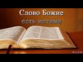 "Слово Божие есть истина". Г. С. Ефремов. МСЦ ЕХБ.