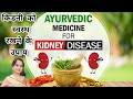 आयुर्वेद के इन तरीकों को अपनाकर आप किडनी को हेल्दी बनाए रख सकते हैं #health Ayurveda Tips for Kidney