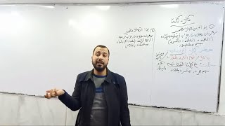 كلا وكلتا - ملحقان بالمثنى الأستاذ وليد محسن