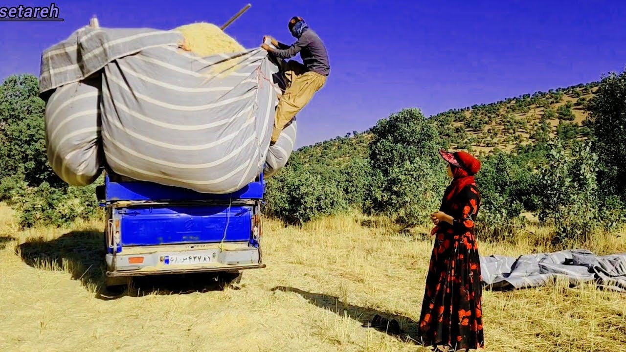 Abbas's help to Star and his father to bring straw with a big truck
