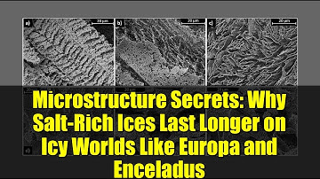 Microstructure Secrets: Why Salt-Rich Ices Last Longer on Icy Worlds Like Europa and Enceladus