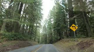 Driving from Silver Falls State Park to Woodburn, Oregon | 4K Realtime Scenic Drivng
